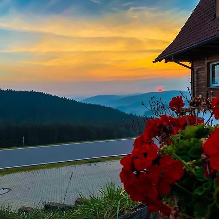 Pension Forsthaus Taele - Das Gaestehaus Vom Schwarzwaldgasthaus Salenhof Titisee-Neustadt Dış mekan fotoğraf