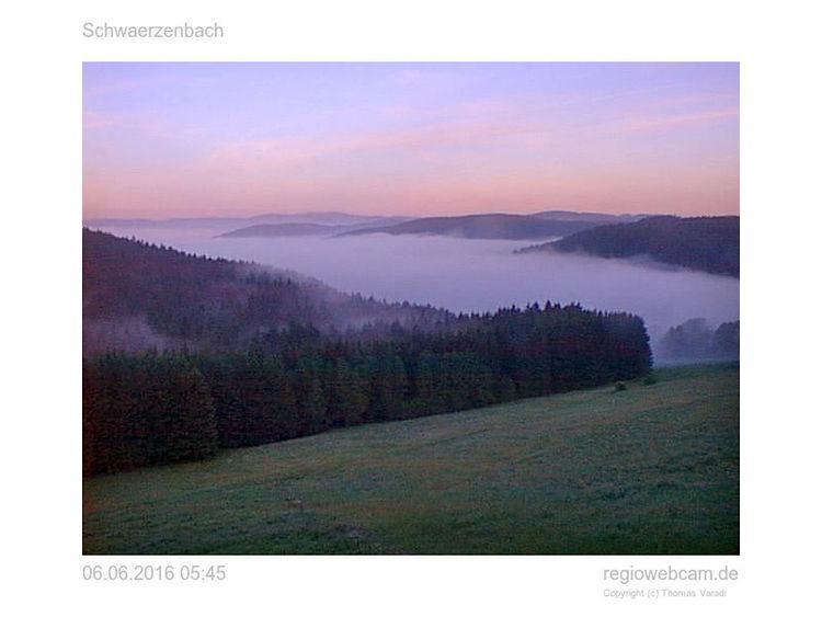 Pension Forsthaus Taele - Das Gaestehaus Vom Schwarzwaldgasthaus Salenhof Titisee-Neustadt Dış mekan fotoğraf