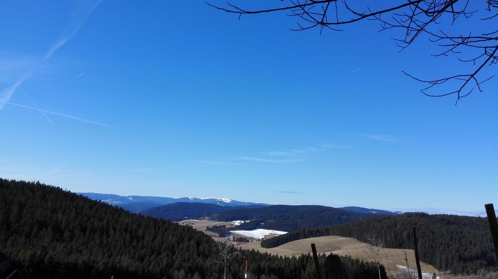 Pension Forsthaus Taele - Das Gaestehaus Vom Schwarzwaldgasthaus Salenhof Titisee-Neustadt Dış mekan fotoğraf
