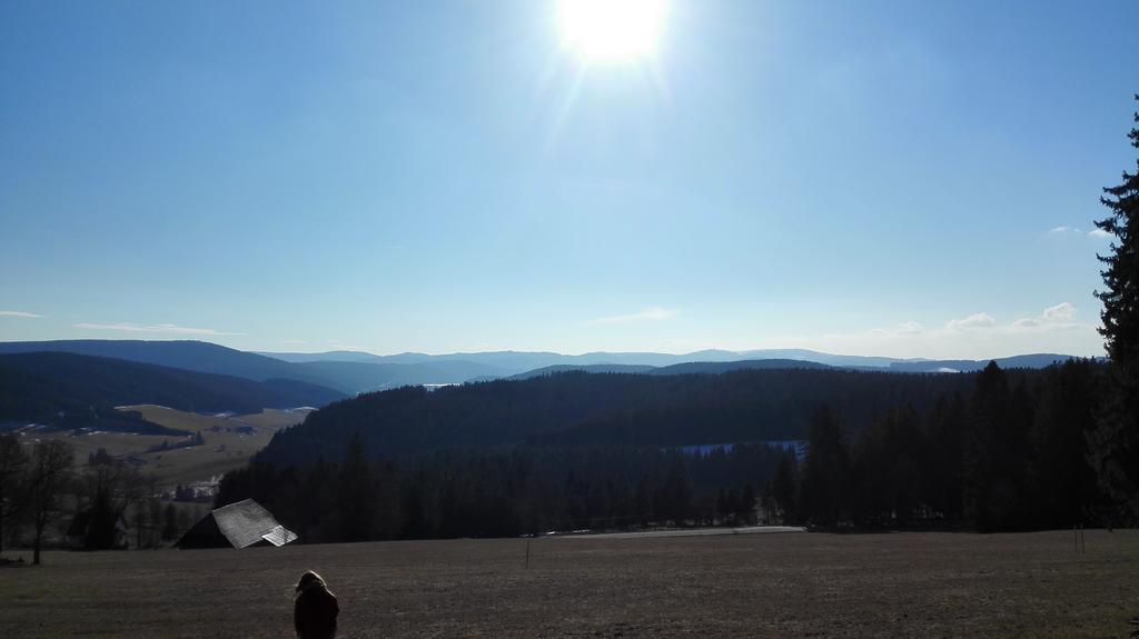 Pension Forsthaus Taele - Das Gaestehaus Vom Schwarzwaldgasthaus Salenhof Titisee-Neustadt Dış mekan fotoğraf