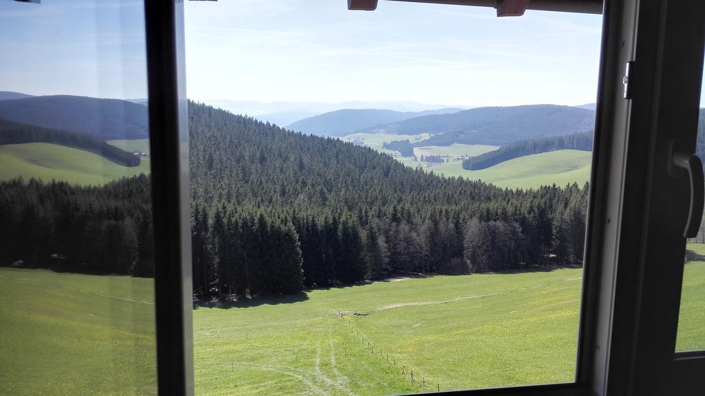 Pension Forsthaus Taele - Das Gaestehaus Vom Schwarzwaldgasthaus Salenhof Titisee-Neustadt Dış mekan fotoğraf