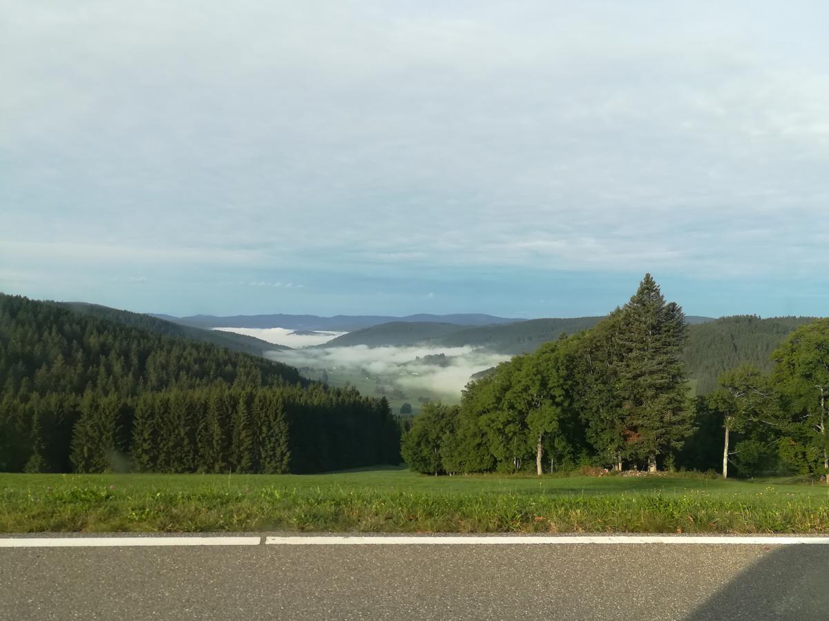 Pension Forsthaus Taele - Das Gaestehaus Vom Schwarzwaldgasthaus Salenhof Titisee-Neustadt Dış mekan fotoğraf