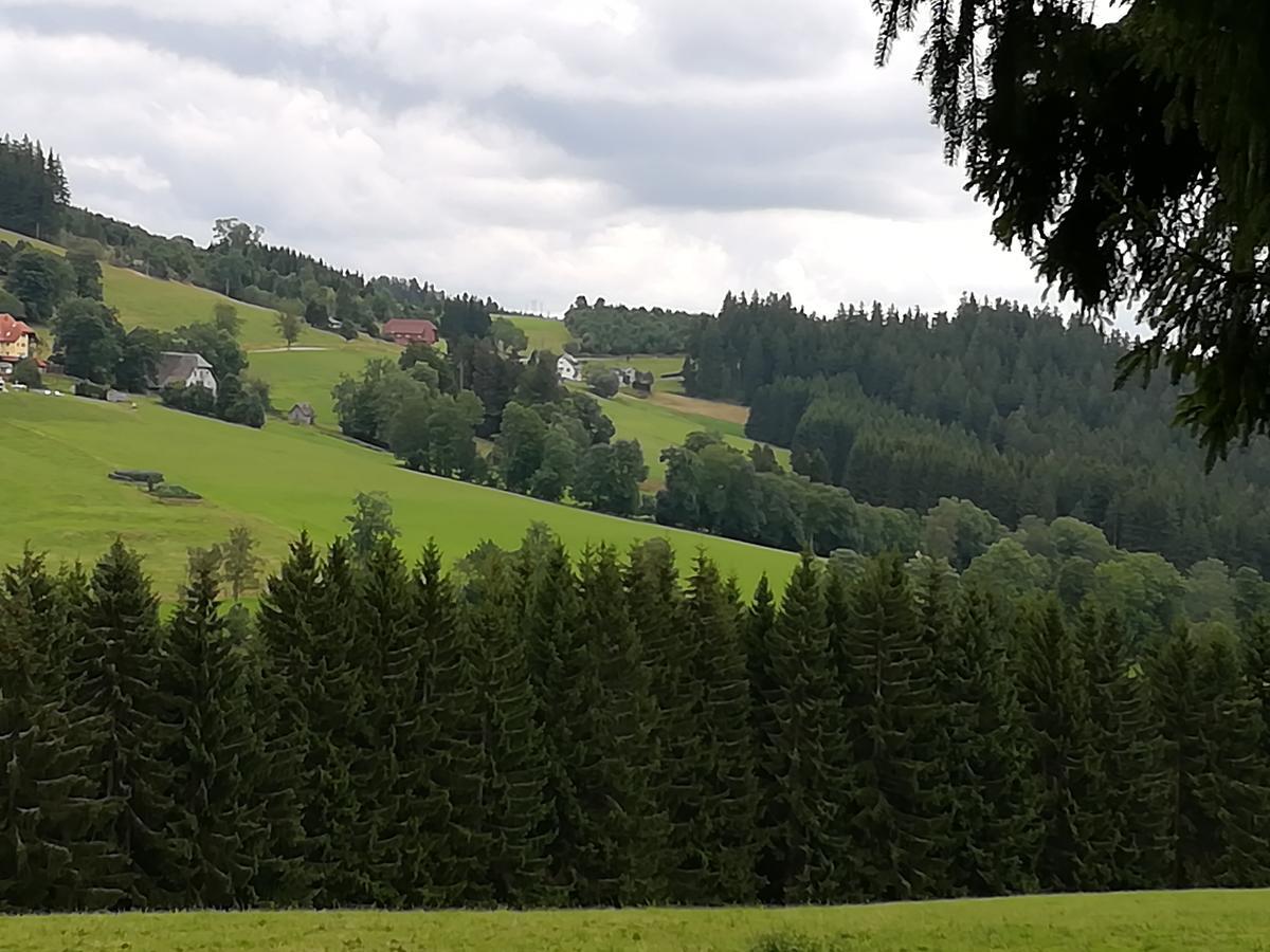 Pension Forsthaus Taele - Das Gaestehaus Vom Schwarzwaldgasthaus Salenhof Titisee-Neustadt Dış mekan fotoğraf